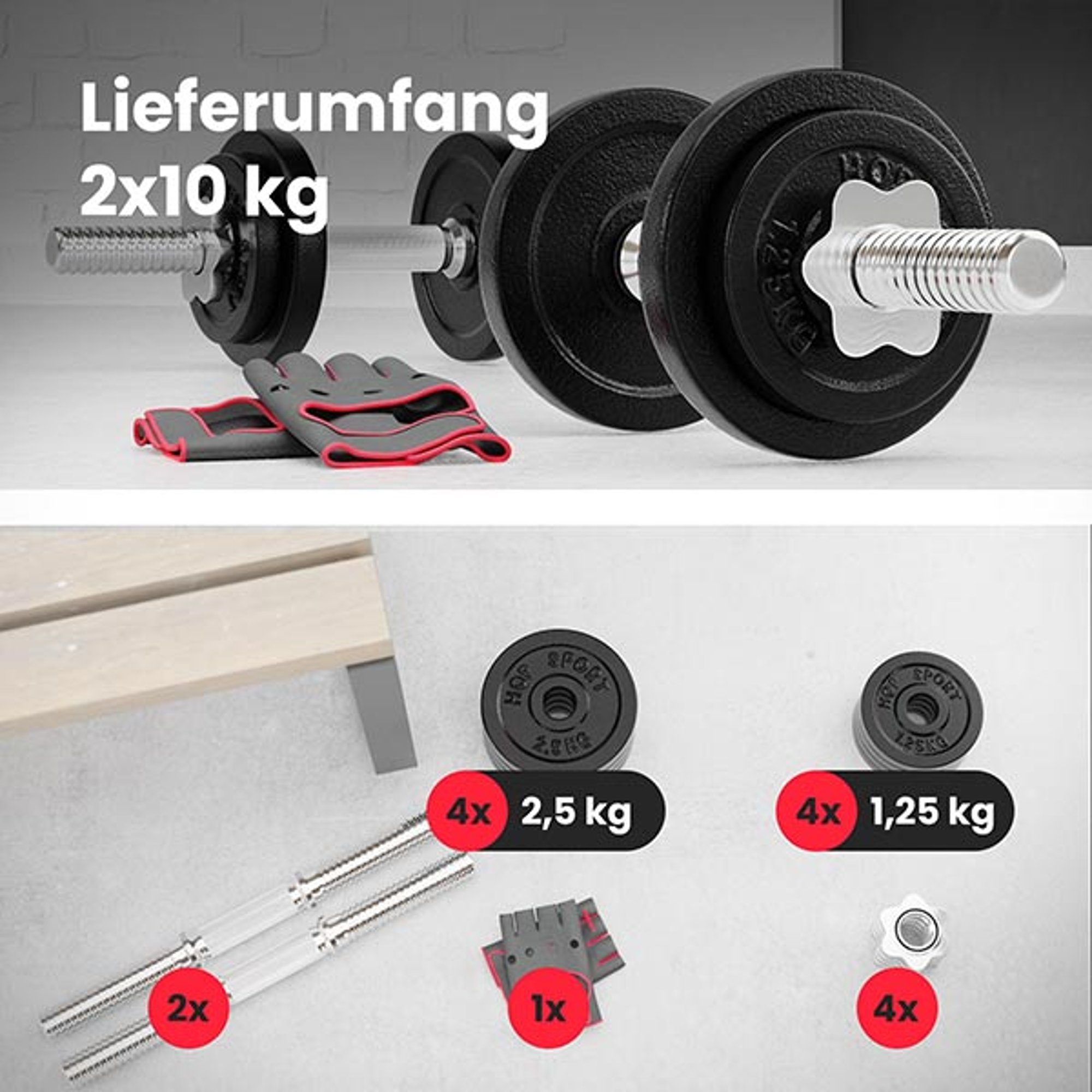 Lieferumfand des Sets 2 x 10 kg