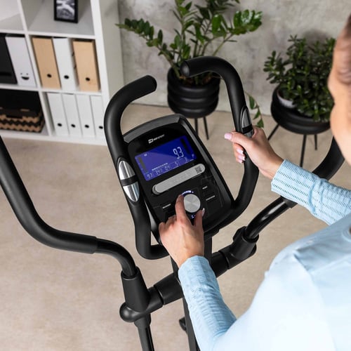 Blaze niebieski sesja