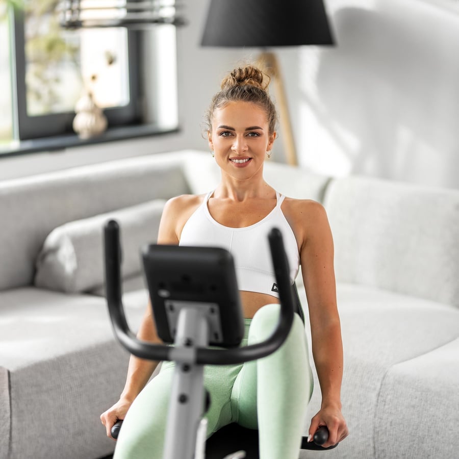 Heimtrainer HS-035L Solo silber