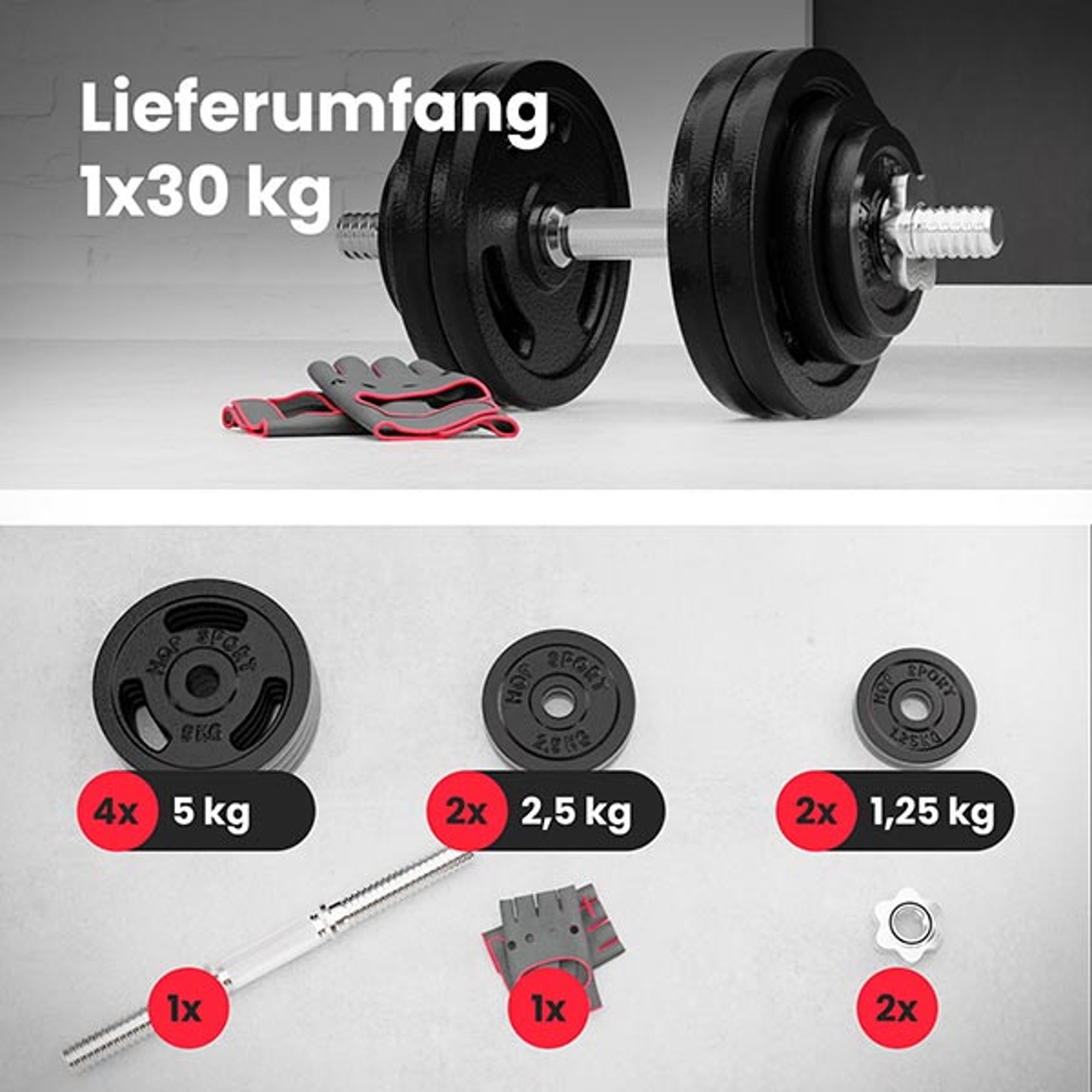 Lieferumfand des Sets 1 x 30 kg