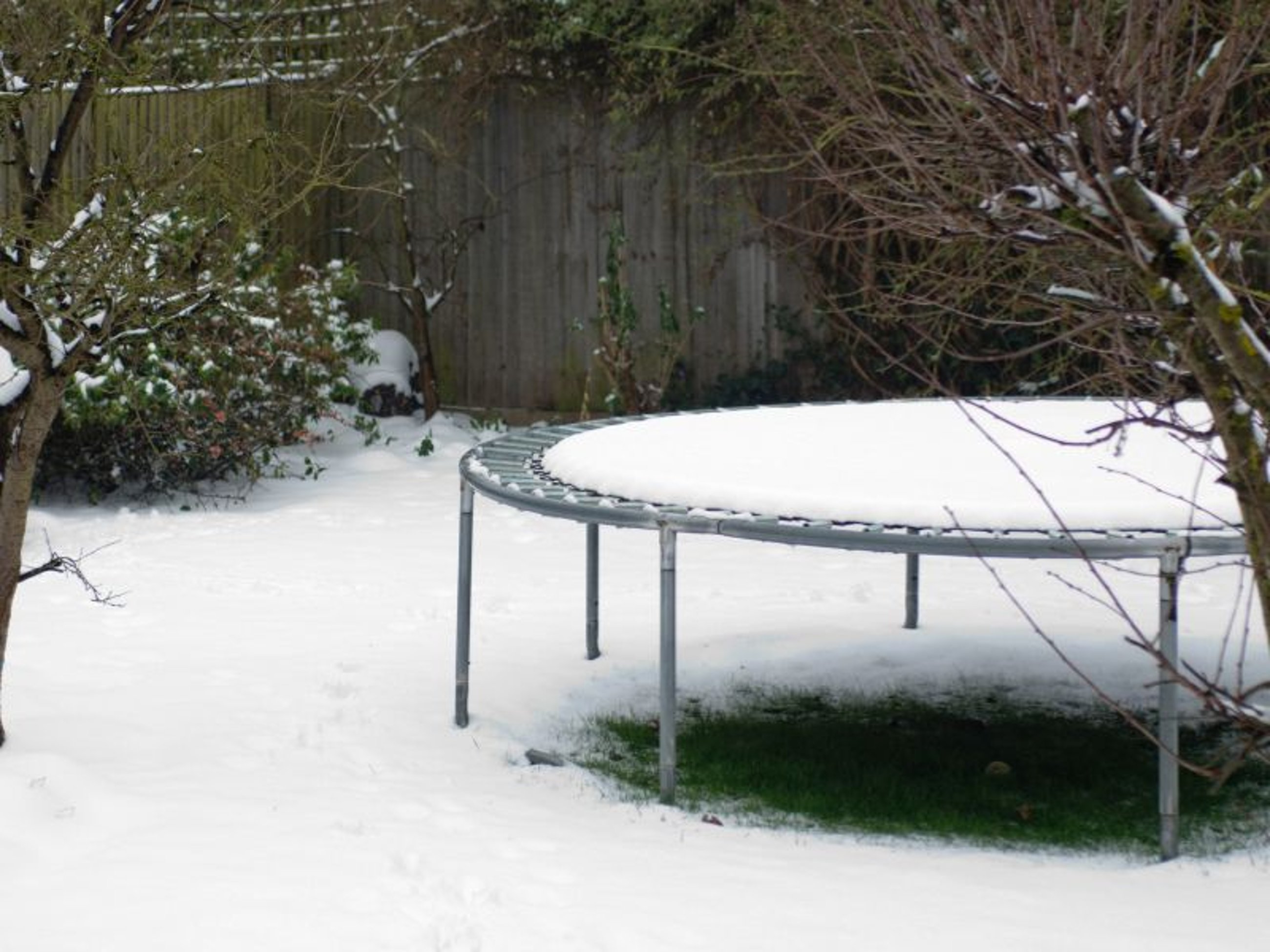 Verschneites Trampolin im Garten im Winter
