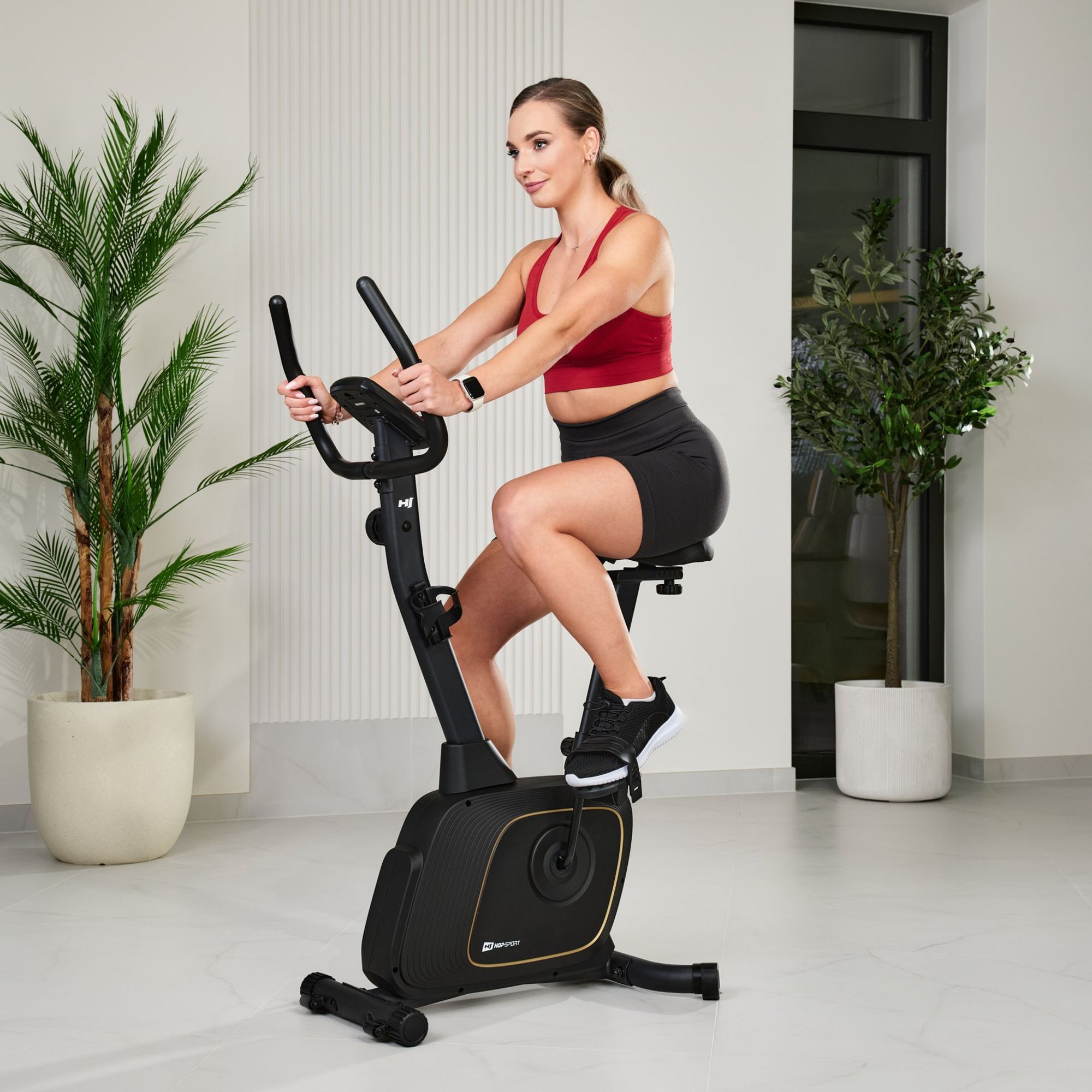 8-stufiger Widerstandsregler des Heimtrainers Nexon von Hop-Sport zur individuellen Trainingsanpassung