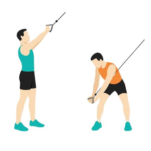 Bauchmuskeltraining mit Kabelzug – stehendes und gebeugtes Zugtraining