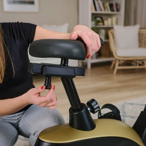 Heimtrainer HS-005H Host rot