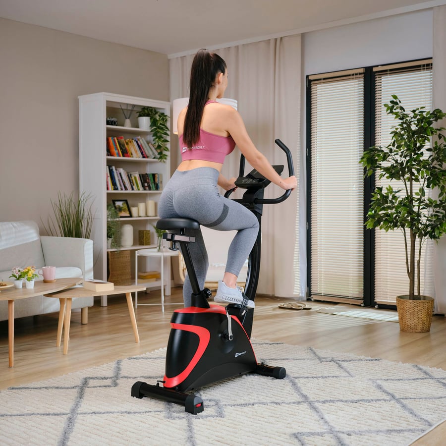 Heimtrainer HS-005H Host rot