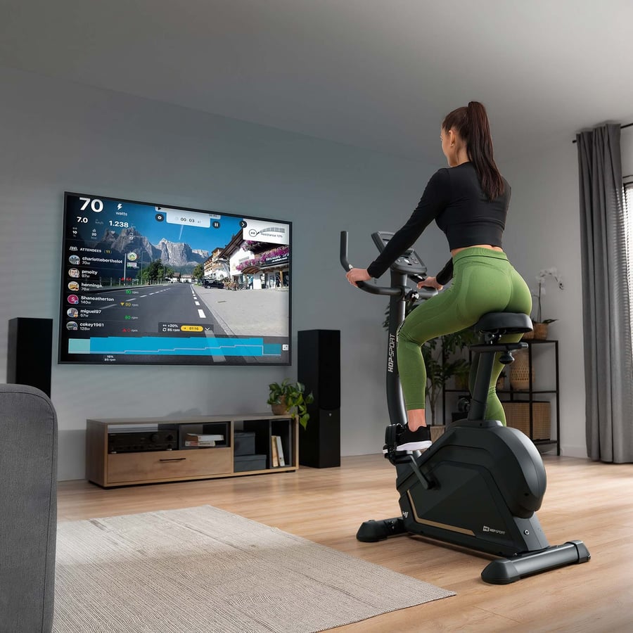 Rower elektryczno-magnetyczny H - 1