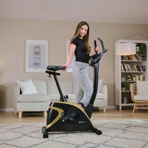 Heimtrainer HS-005H Host rot