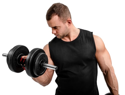 Hantel-Arten im Überblick: Welche ist die richtige für Sie?