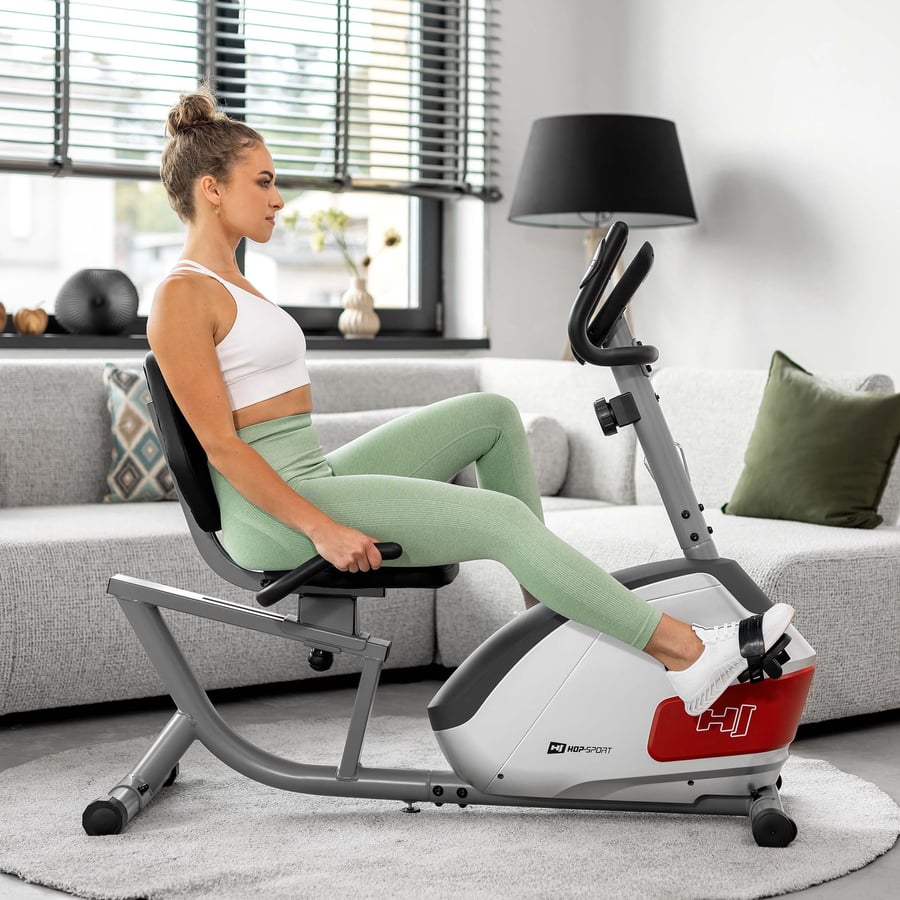 Heimtrainer HS-035L Solo silber