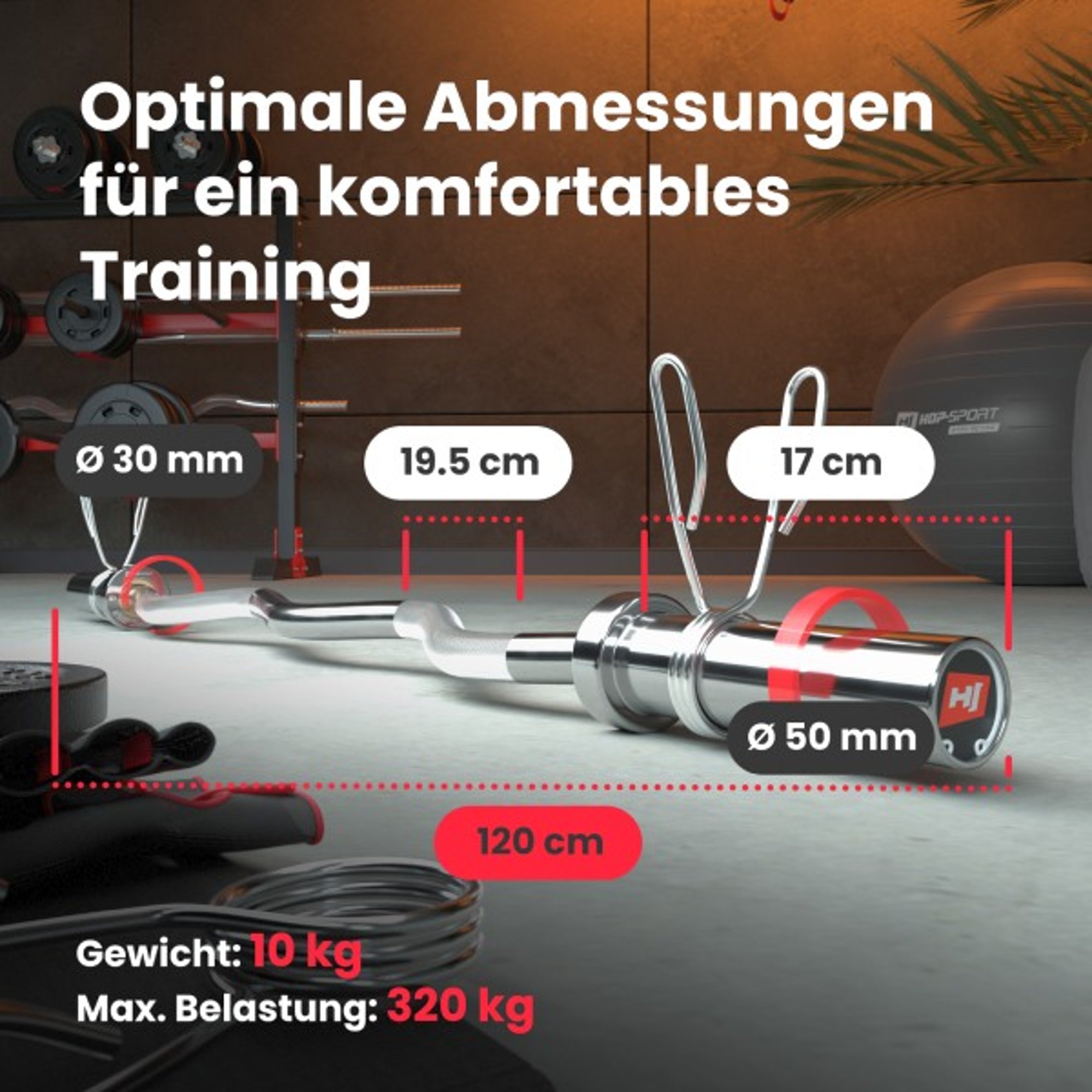 SZ-Stange mit Abmessungen, Geiwicht 10 kg und Max. Belastung 320 kg