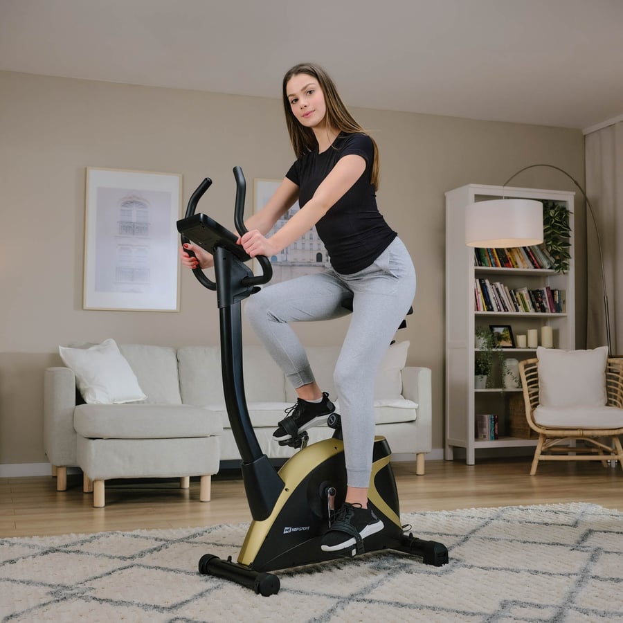 Heimtrainer HS-005H Host rot