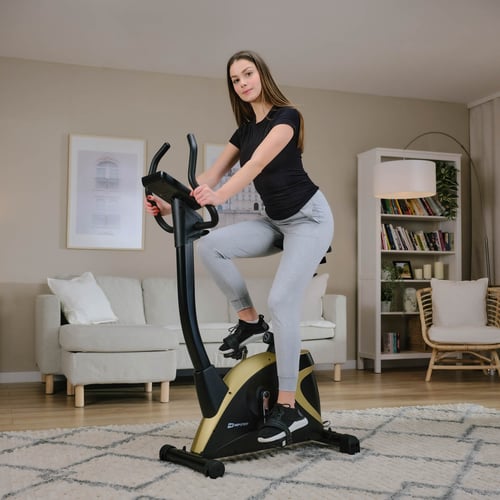 Heimtrainer HS-005H Host rot