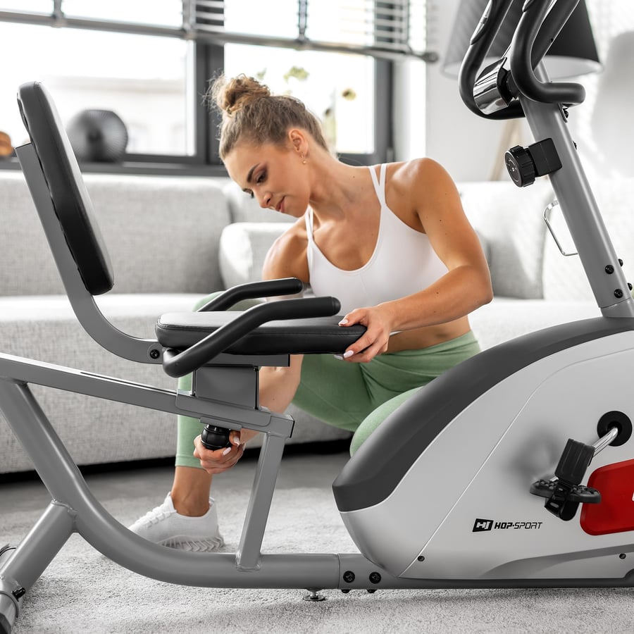 Heimtrainer HS-035L Solo silber