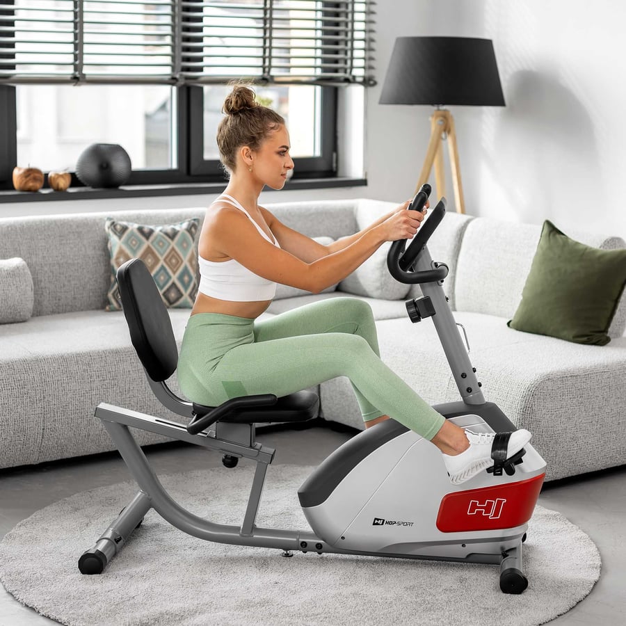 Heimtrainer HS-035L Solo silber