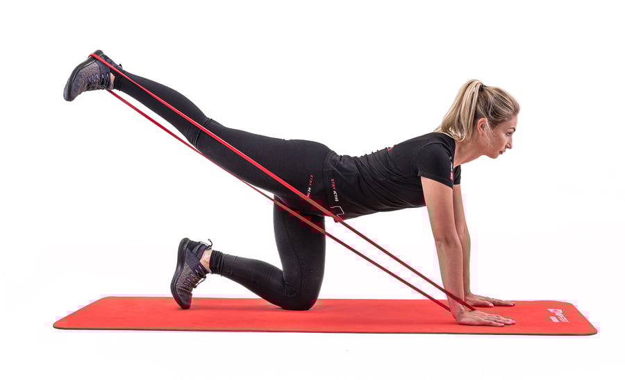 Wiederstandsbänder HS-OF020CB 1